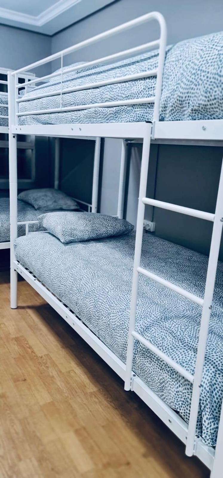 Bunk Bed in Mixed Dormitory Room,1525004914:JPEG